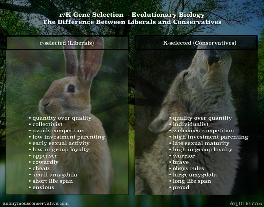 rk-gene-selection-evolutionary-biology