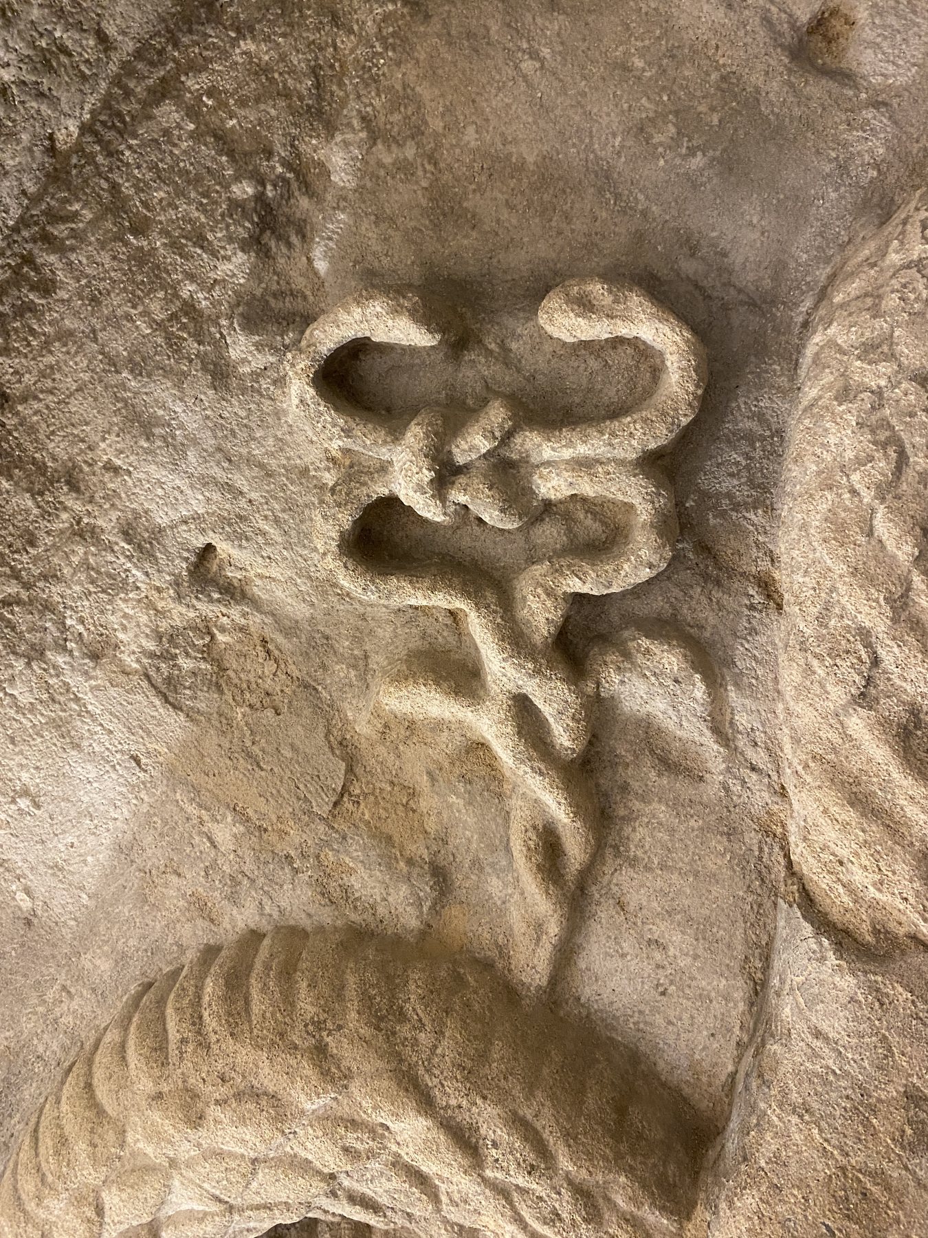 2025 11 08 09 17 11