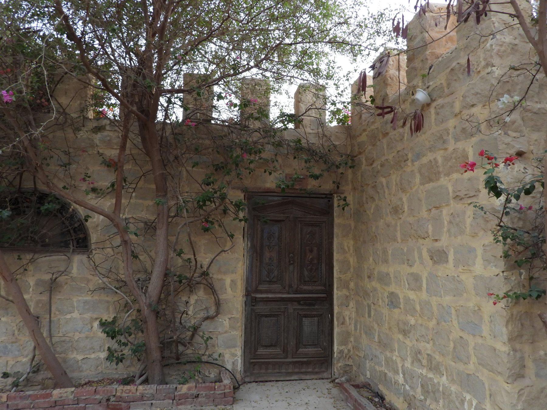 DSCN1707