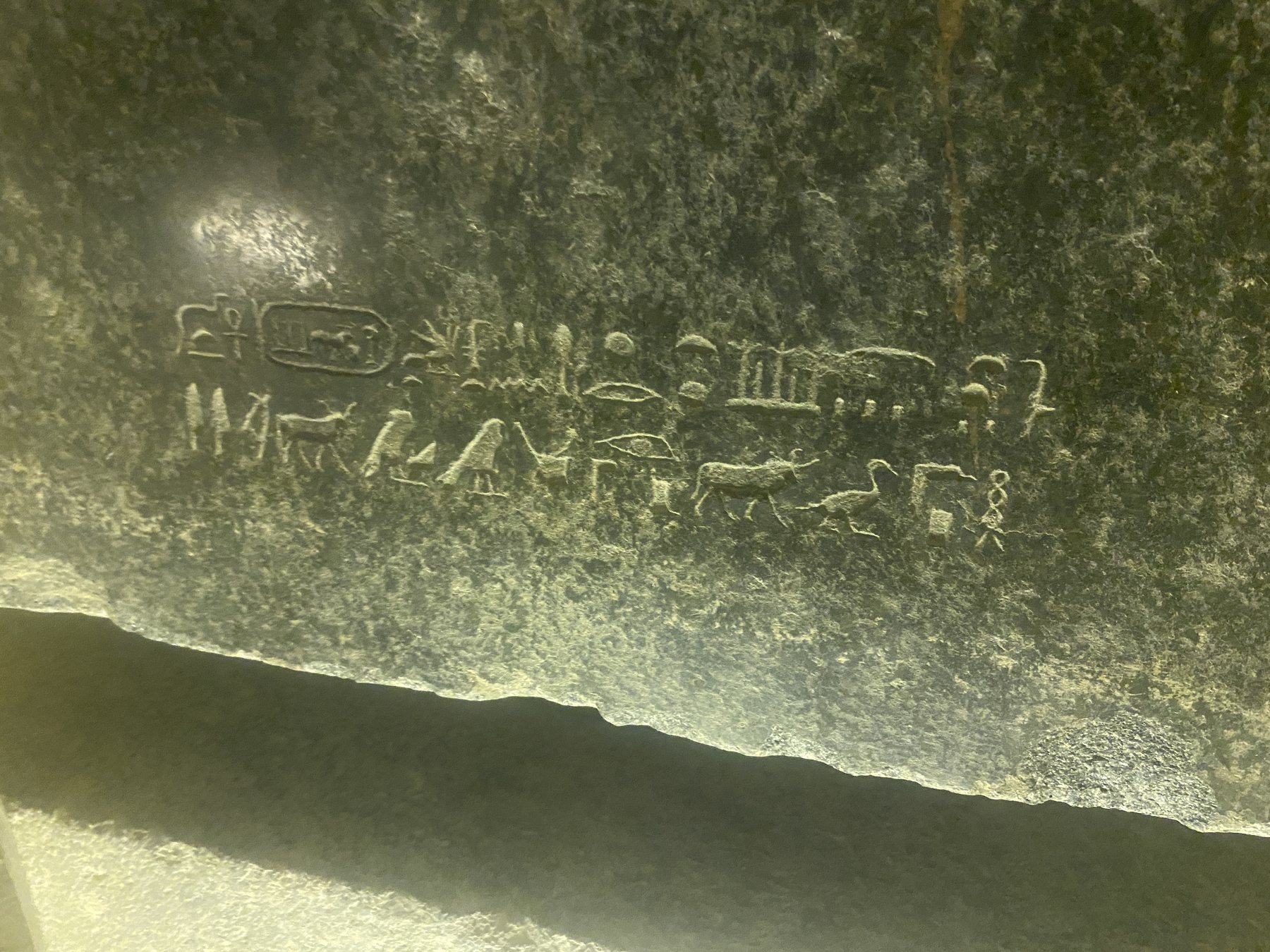 2025 11 05 11 23 26