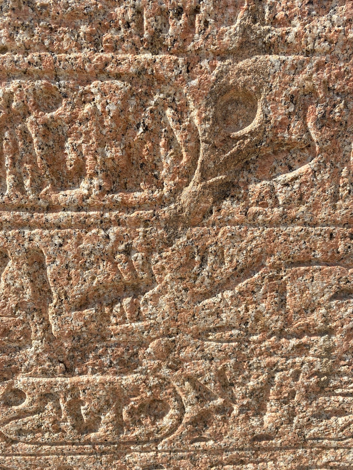 2025 11 08 10 36 46