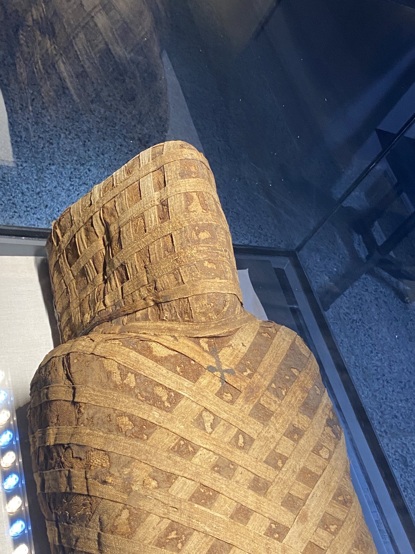 2025 11 07 11 15 29