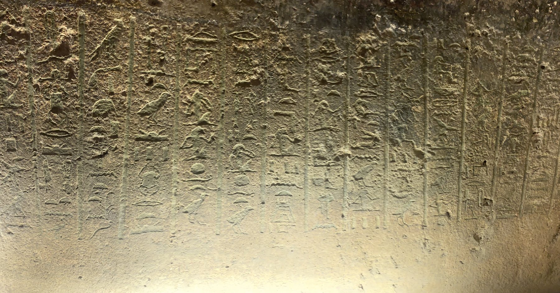 2025 11 10 12 31 12