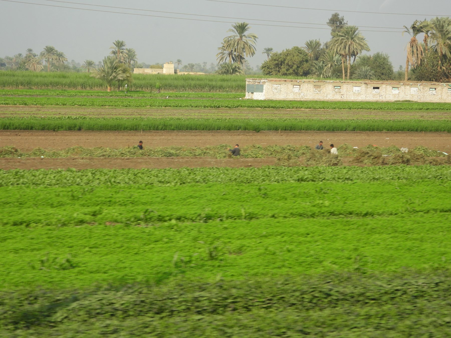 DSCN1705