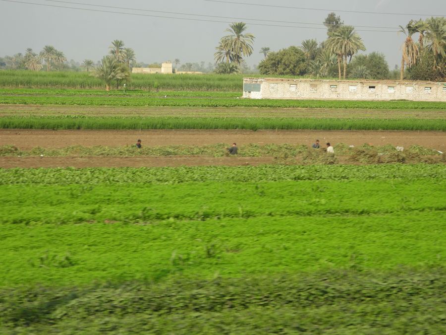 DSCN1705