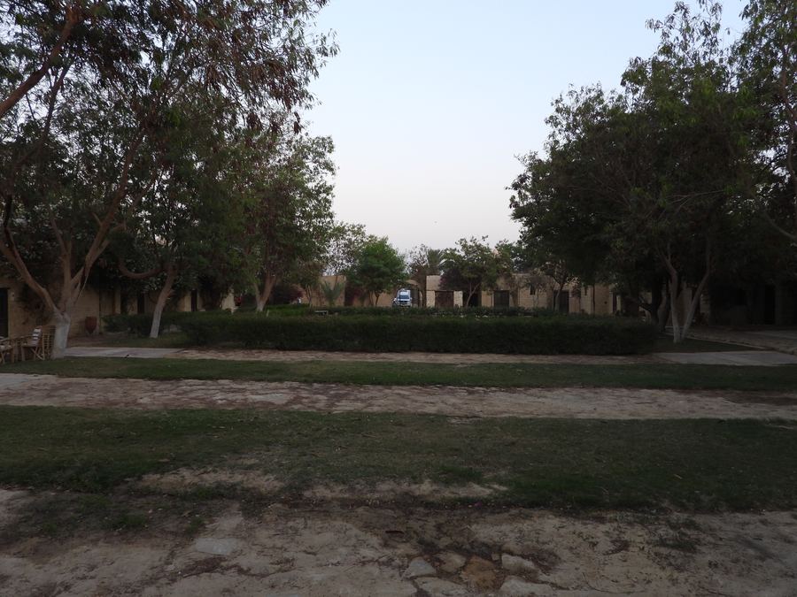 DSCN1706