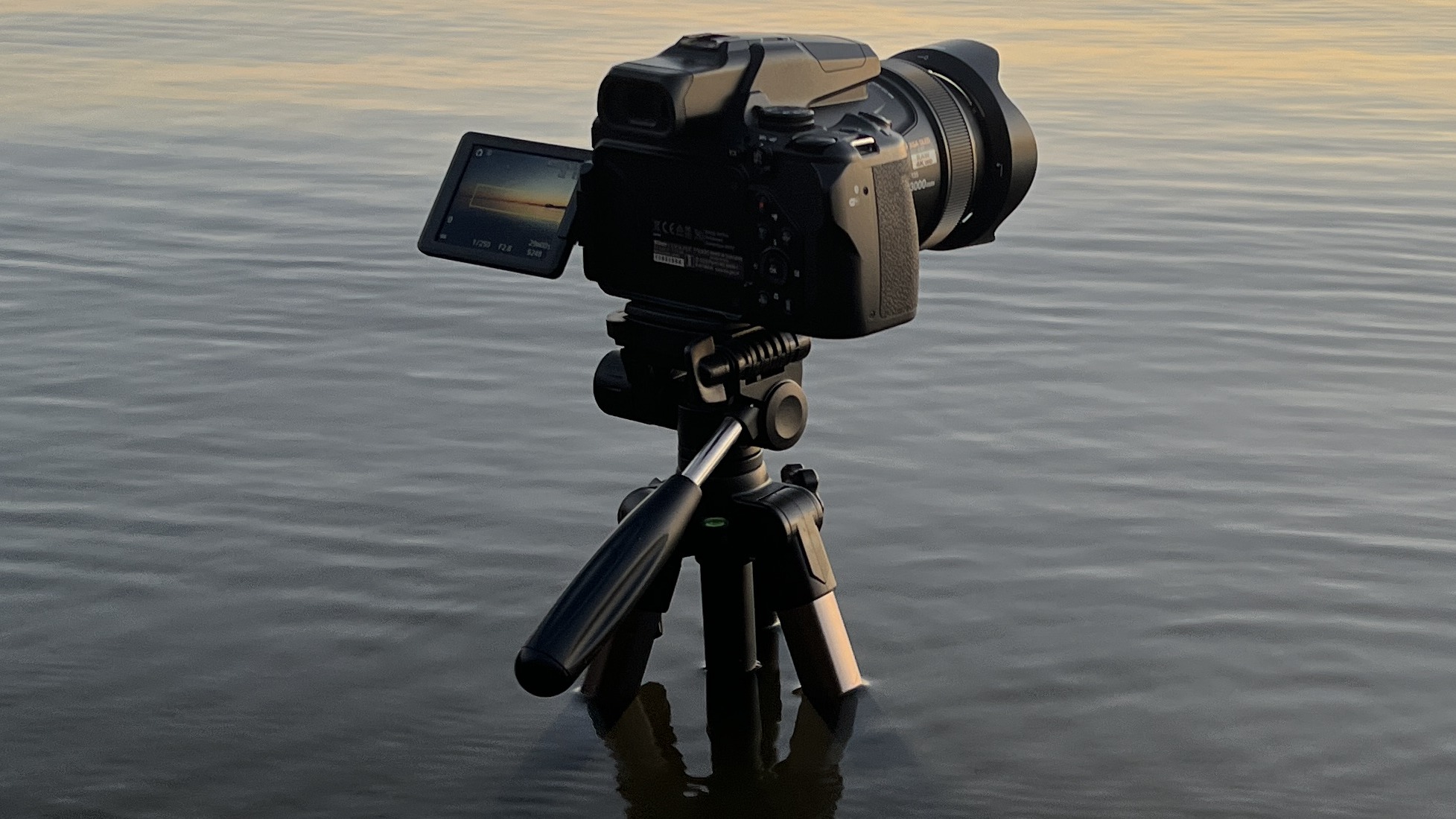 Nikon P1000 camera setup cropped from Printz Park photo #349