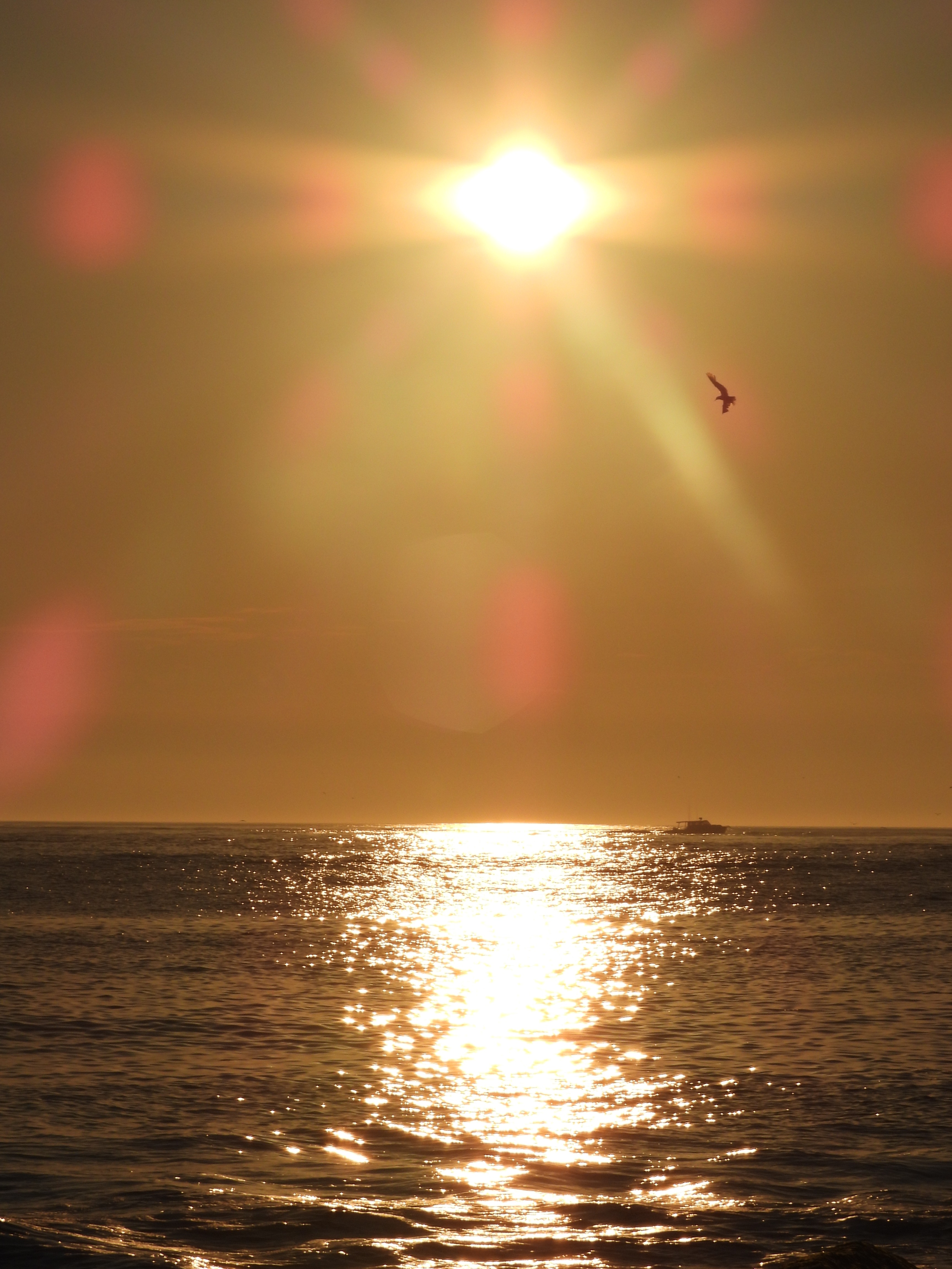 Assateague