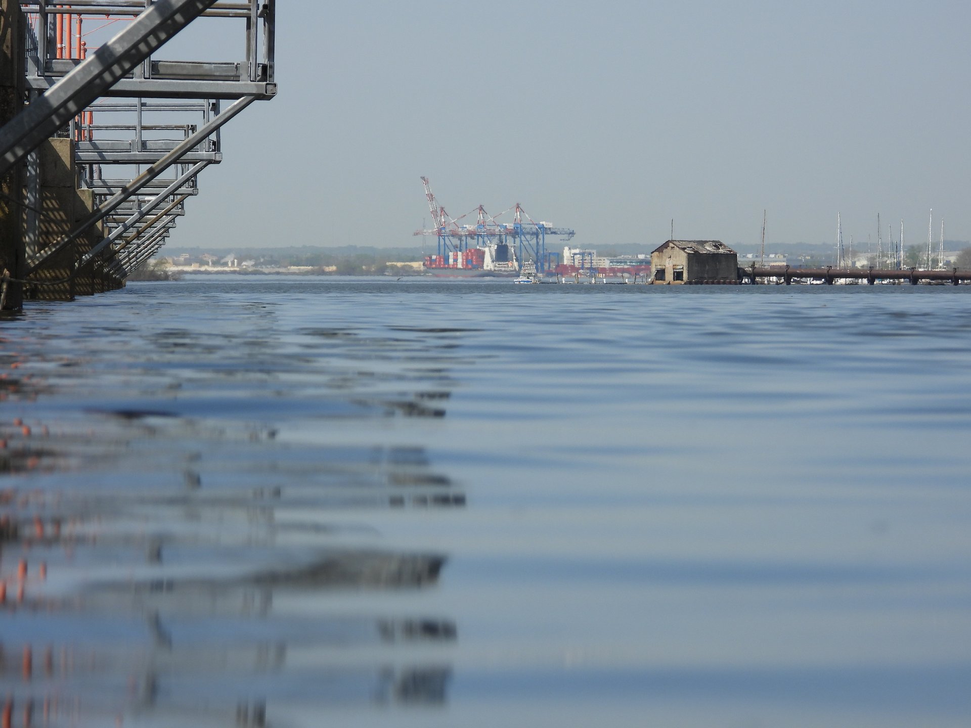 Hog Island · 2026-04-15