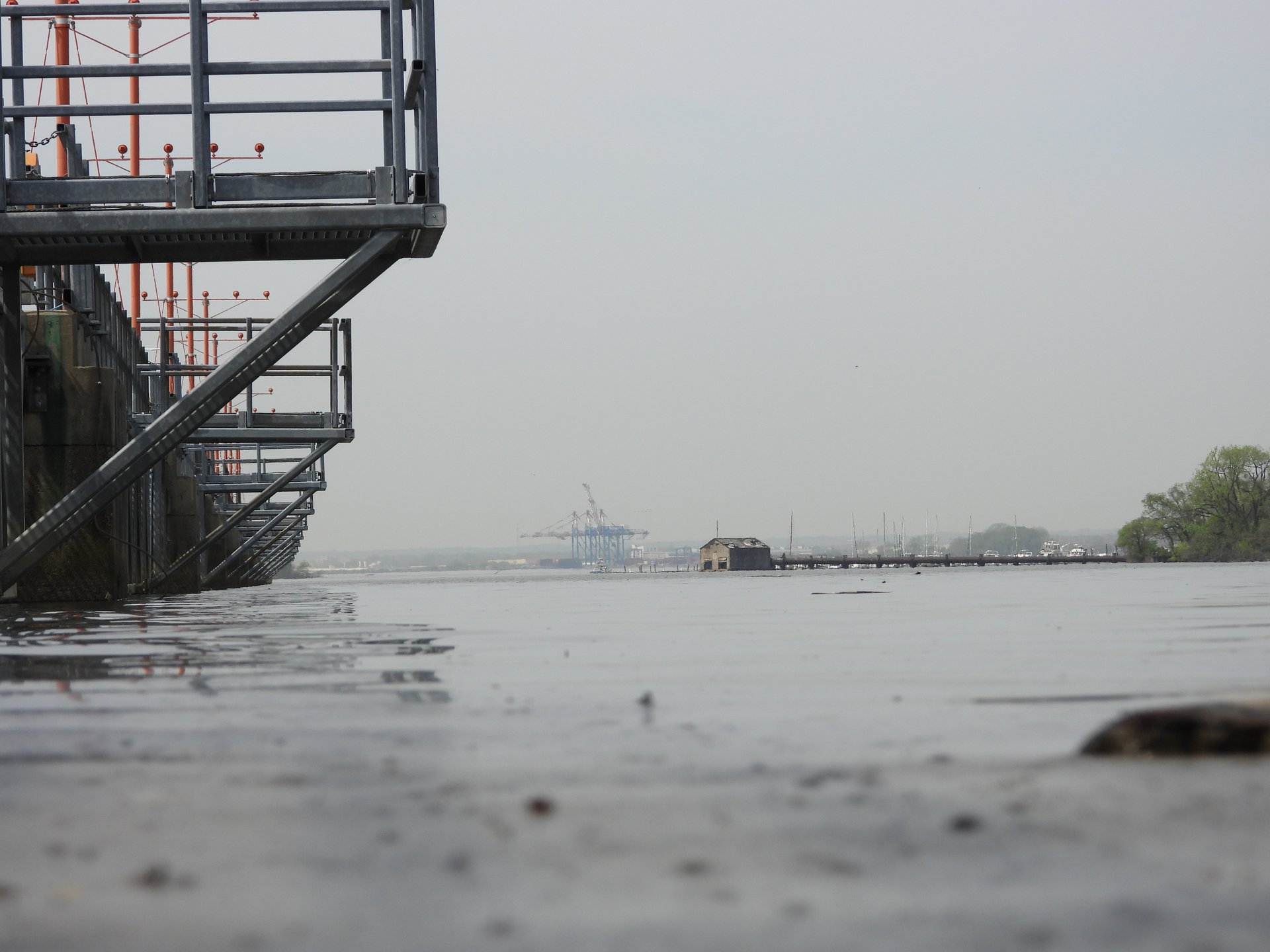 Hog Island · 2026-04-16