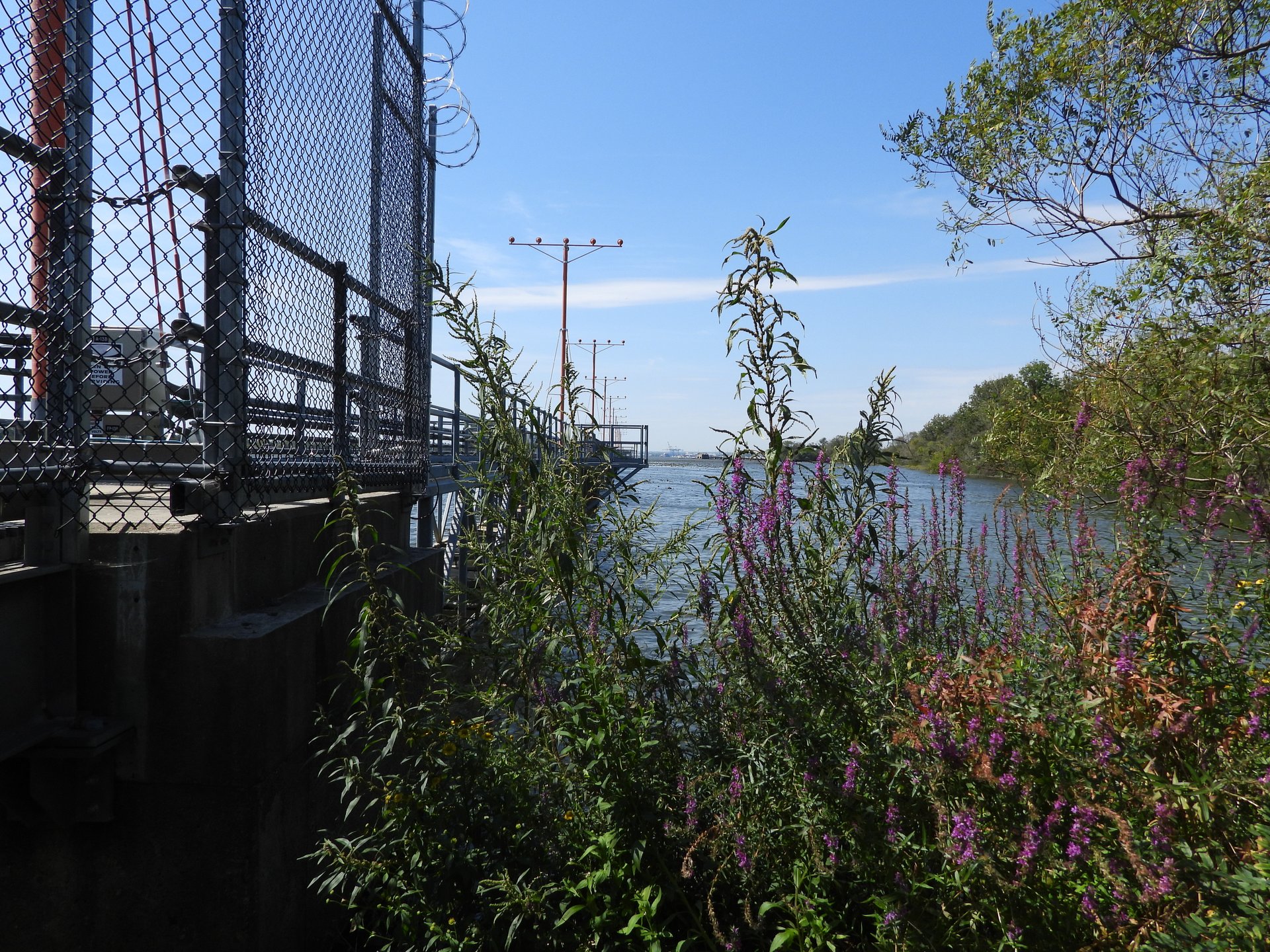 Hog Island · 2026-09-09