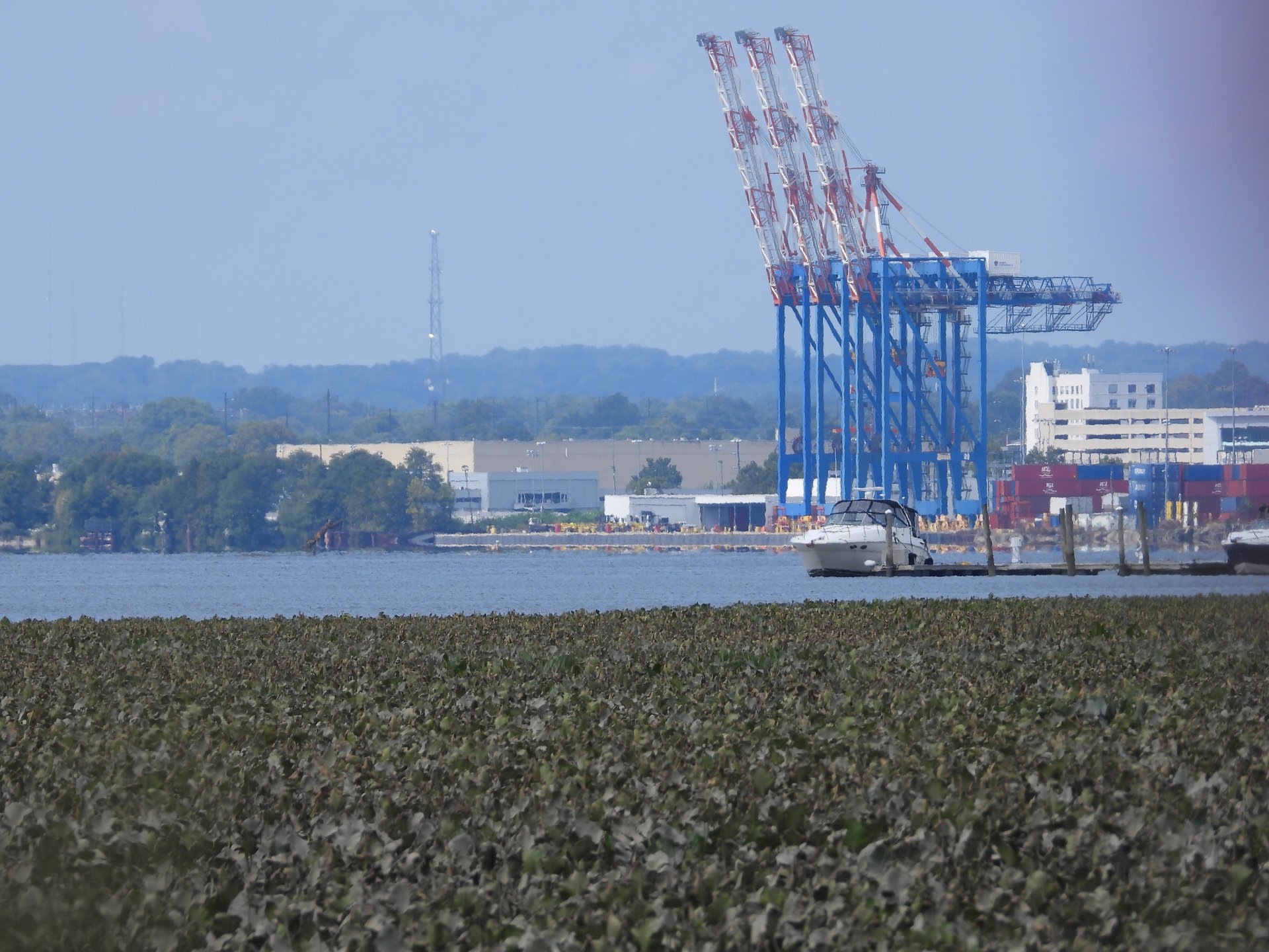 Hog Island · 2026-09-12