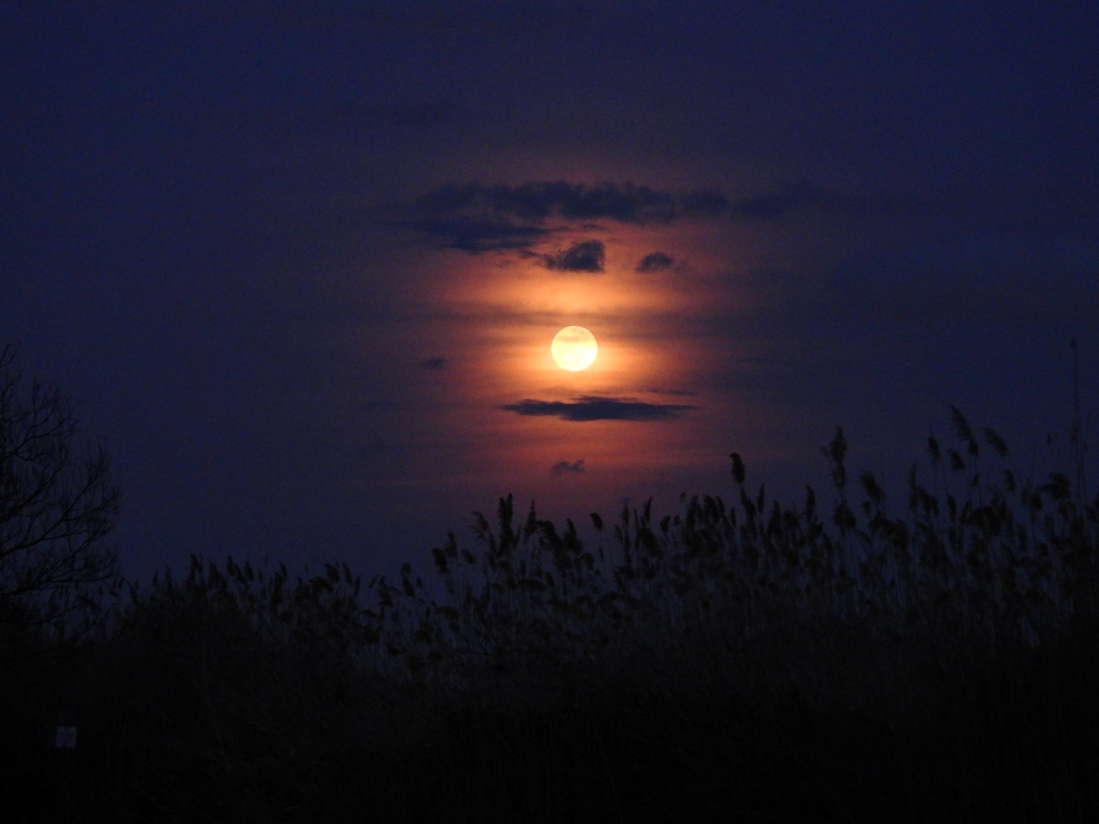 Moon Detail