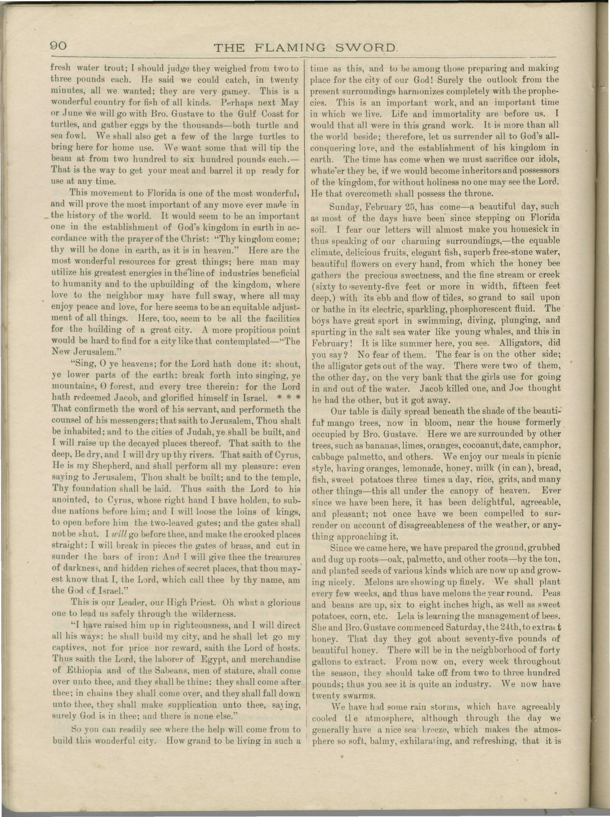 Scanned PDF p. 10 from The Flaming Sword, Mar 31, 1894.