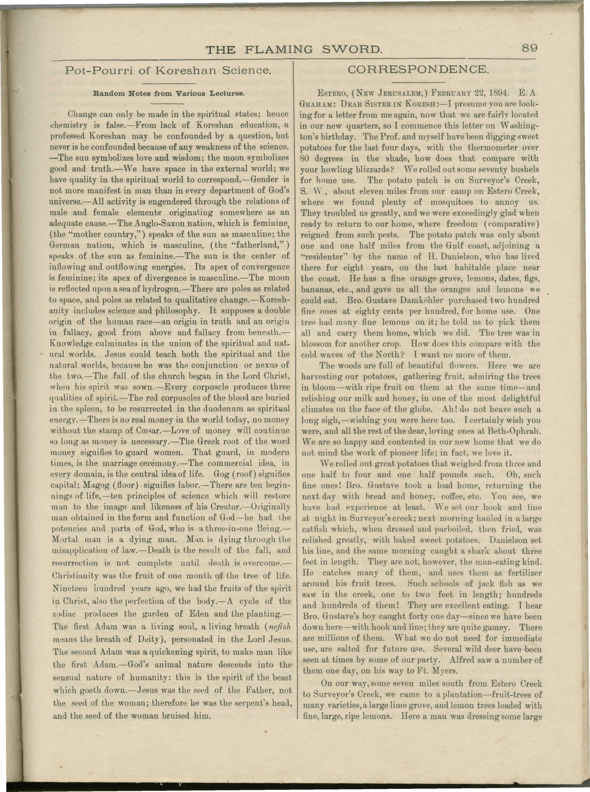 Scanned PDF p. 9 from The Flaming Sword, Mar 31, 1894.